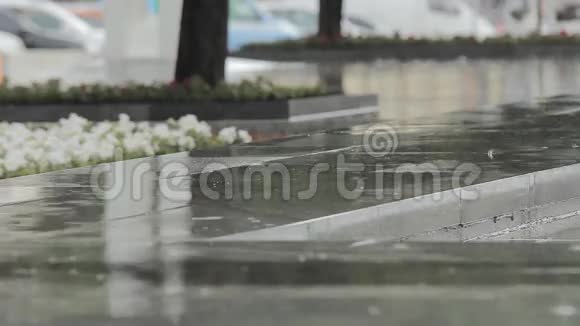 路面上的雨滴视频的预览图