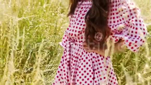美丽的女士夏日乐趣自然村景观阳光照耀草水热美丽的魅力模特时尚风格cotto视频的预览图