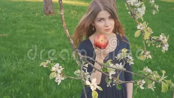 春暖花开的苹果树背景下夏天的大自然年轻美丽的女人抱着苹果的肖像春天视频的预览图