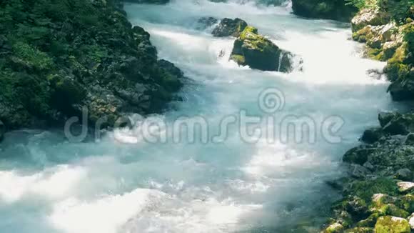 咆哮的水沿着岩石河流动视频的预览图