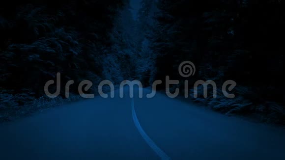 夜间沿着树状道路滑行视频的预览图