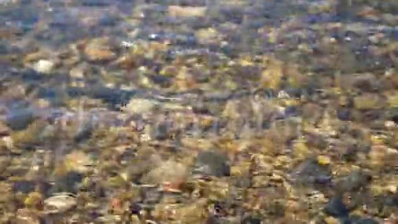 山河带着清澈的冷水透明的底部河石视频的预览图