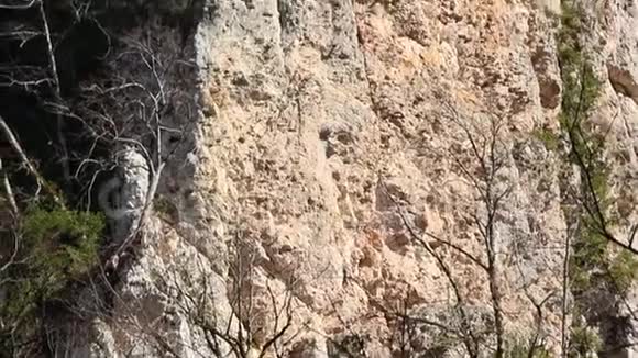 关岛峡谷位于俄罗斯南部的一座自然纪念碑视频的预览图