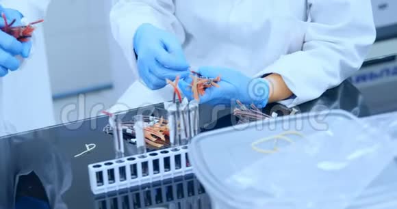 实验室技术人员安排血样4k视频的预览图