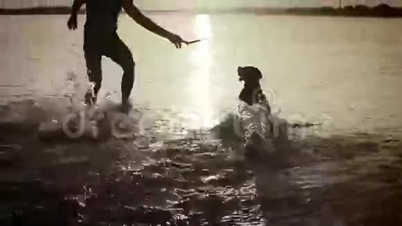 带着小比格犬的人在海洋日落的波浪中嬉戏视频的预览图