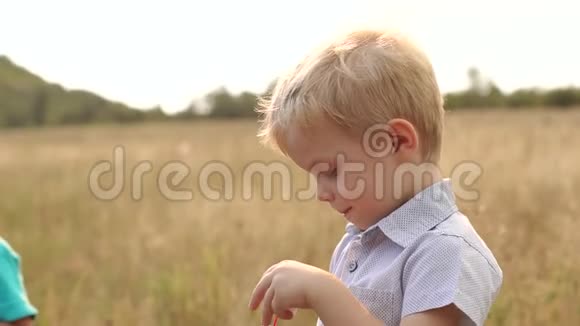 日落时男孩在田野里玩肥皂泡视频的预览图