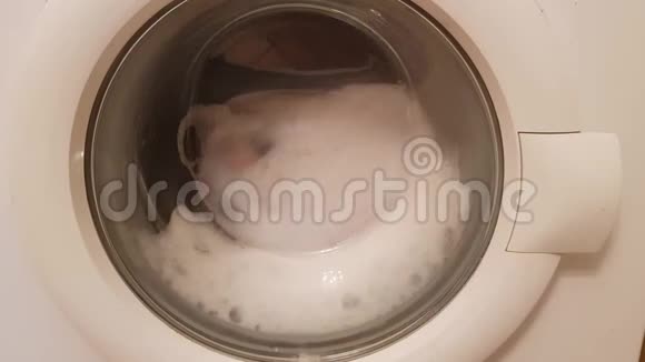 带被褥的洗衣机视频的预览图