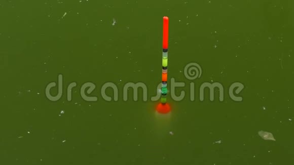 鱼竿的浮子在绿色的水里慢慢移动视频的预览图