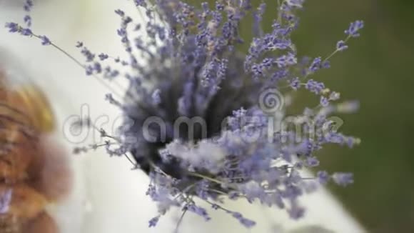 美丽的紫罗兰花站在花瓶里视频的预览图