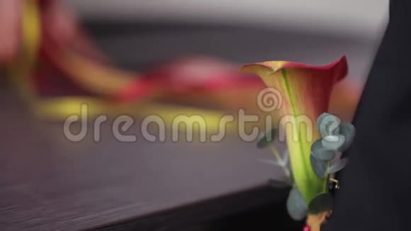 美丽的红色猩红花束视频的预览图