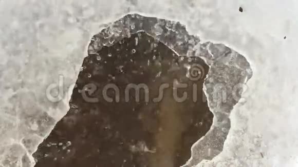 水滴在冰上视频的预览图