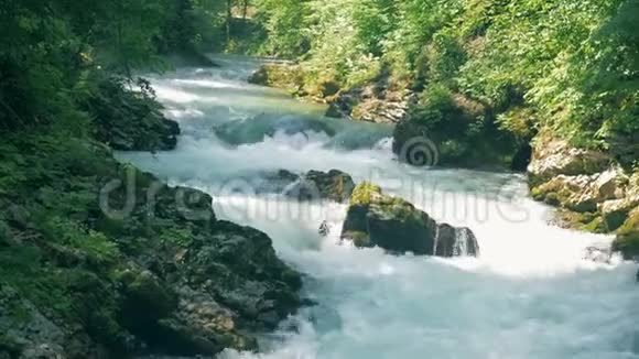 快速的泉水穿过多山峡谷视频的预览图