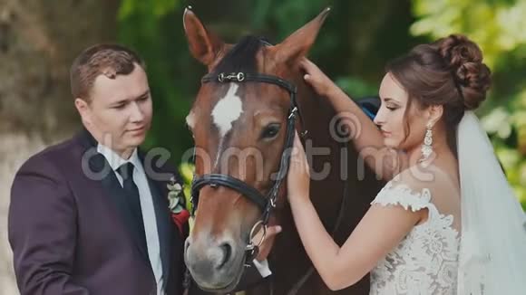 新娘和新郎在马旁边摆姿势他们高兴地抚摸着马一起快乐结婚纪念日视频的预览图