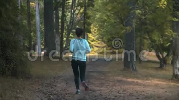 阳光明媚的夏日在公园里慢跑的年轻女子视频的预览图
