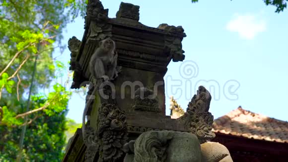 一只猕猴坐在一片石头覆盖的猴子森林里的寺庙墙上的慢镜头视频的预览图