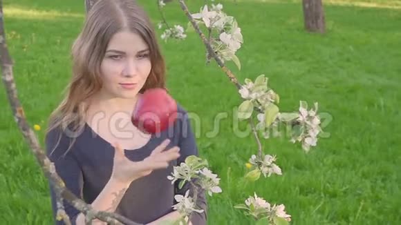 春暖花开的苹果树背景下夏天的大自然年轻美丽的女人抱着苹果的肖像春天视频的预览图