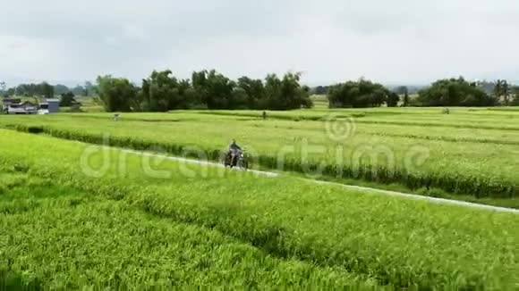摩托车司机骑在稻田上户外拍摄乡村景观旅游和体育摄影速度视频的预览图