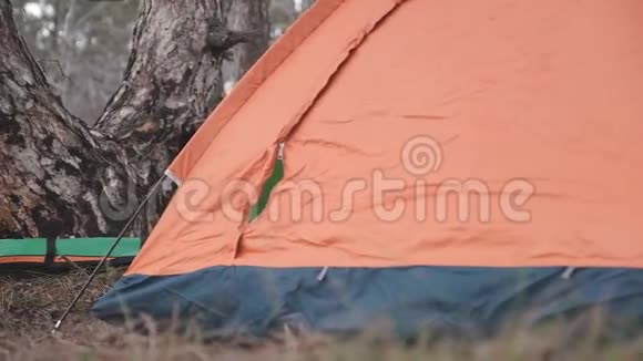 一个人在森林里搭了一个旅游帐篷视频的预览图