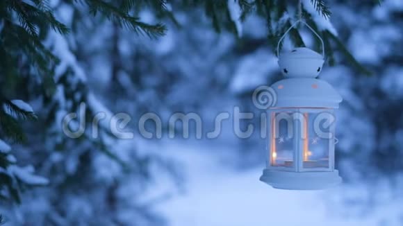 树林里的圣诞灯笼雪林和灯笼视频的预览图