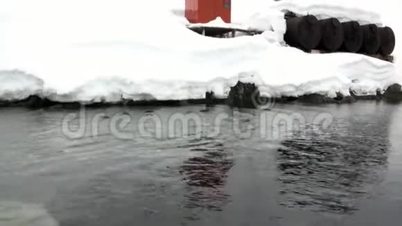 企鹅在南极海洋的雪岩附近潜水视频的预览图