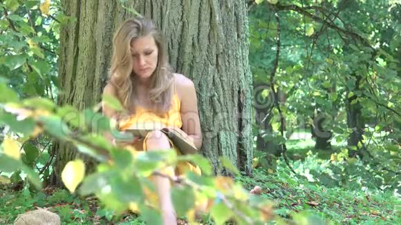 年轻女子在茂密的树干下读完了书4K视频的预览图