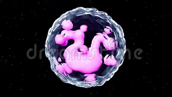 嗜碱性粒细胞视频的预览图