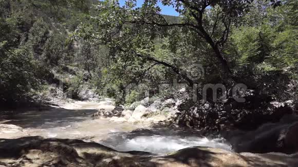 新鲜的河流视频的预览图