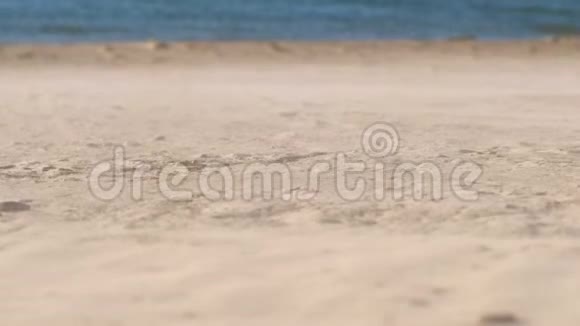 海滩沙尘暴和大风视频的预览图