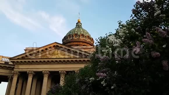 喀山大教堂在圣彼得堡日落美丽的建筑附近有一丛丛芬芳的紫丁香俄罗斯的春天视频的预览图