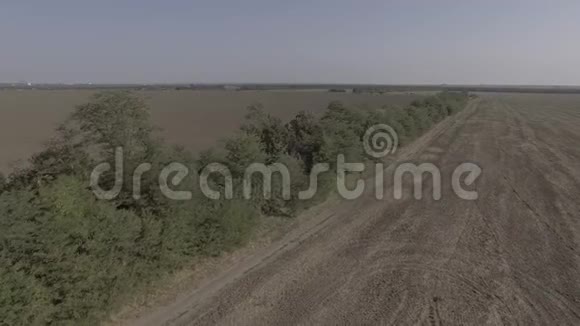 四架直升机在不同类型的农业领域飞行空中摄影CLog4K视频的预览图
