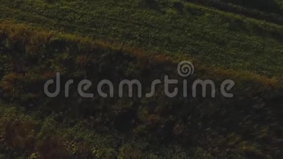 地平线上绿色的田野和山丘的俯视录像农村公路旁的绿色美丽的野草特写视频的预览图