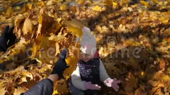 孩子们在秋天公园玩一个小女孩躺在一堆黄色的叶子里叶子倒在她的上面快乐视频的预览图