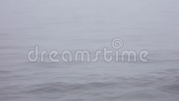 科德角被雾覆盖的海洋视频的预览图