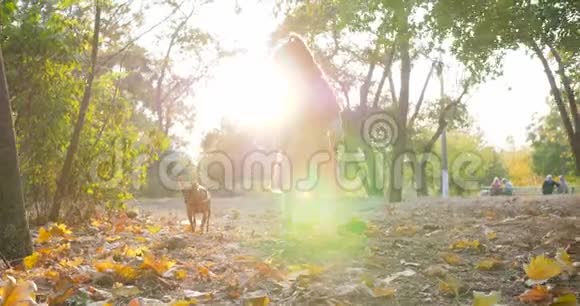 3孩子在阳光明媚的日子里在树的背景下在大自然的秋天里带着一视频的预览图