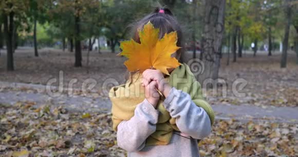 可爱的小女孩用黄叶遮住她的脸在秋天的特写镜头里微笑着视频的预览图