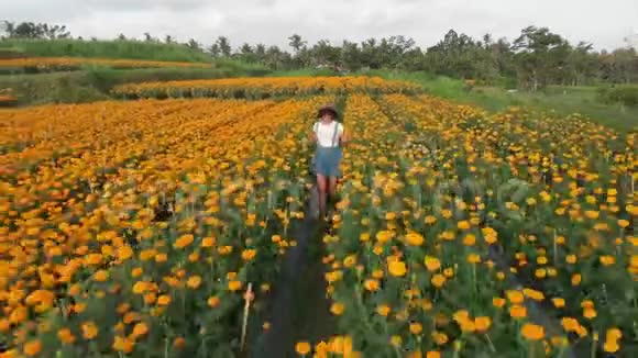 4K空中飞行视频的妇女在万寿菊领域美丽的旅行理念巴厘岛视频的预览图