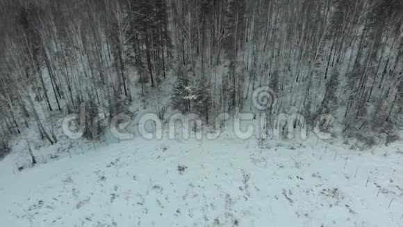 冬季森林附近公园区域的鸟瞰图有雪树库存冬季景观视频的预览图