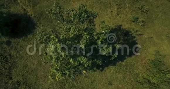 这对夫妇站在日出时风景如画的山上天空中有4K的天空视频的预览图