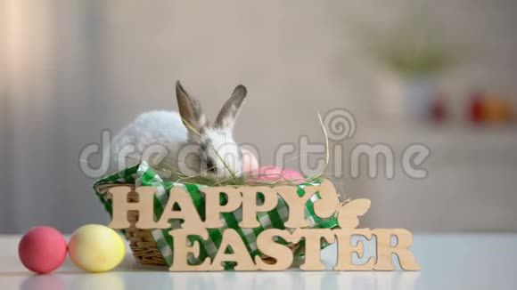 木制标牌复活节快乐桌上有彩蛋篮子里有可爱的兔子视频的预览图