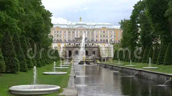 圣彼得堡彼得霍夫俄罗斯2018年6月大瀑布著名的彼得霍夫喷泉在圣彼得堡俄罗斯黄金黄金视频的预览图