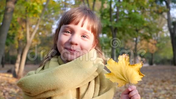 黄叶在小女孩手中背景模糊的树木城市公园在秋天的时候视频的预览图