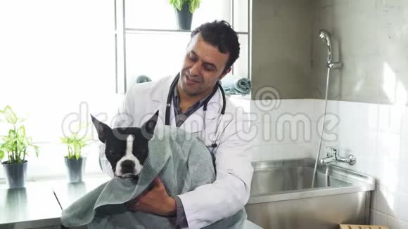 性格开朗成熟的男兽医在诊所洗过澡后给可爱的狗烘干视频的预览图