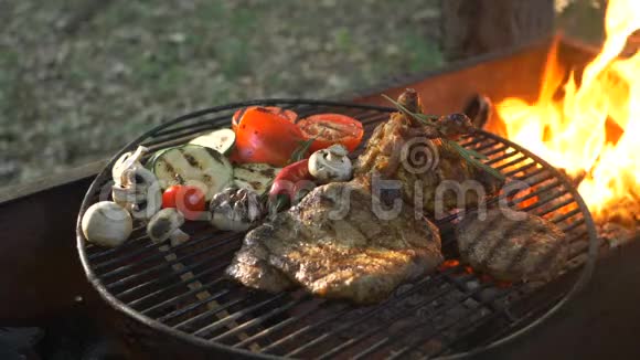 火焰乡村休息多汁和美味的烧烤汉堡切块牛排烤鸡腿新鲜蔬菜视频的预览图