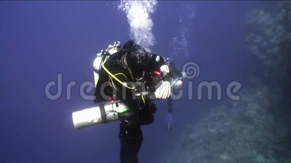 两名潜水者在红海的深海中游泳视频的预览图