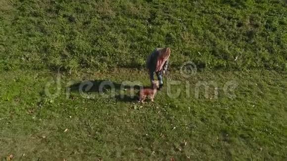 在户外草地上和主人玩狗视频的预览图