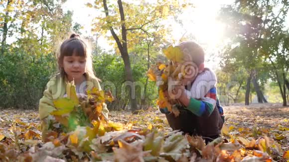 在秋天的公园里孩子们手里拿着黄色的叶子坐在树和树叶的背景上在阳光下视频的预览图
