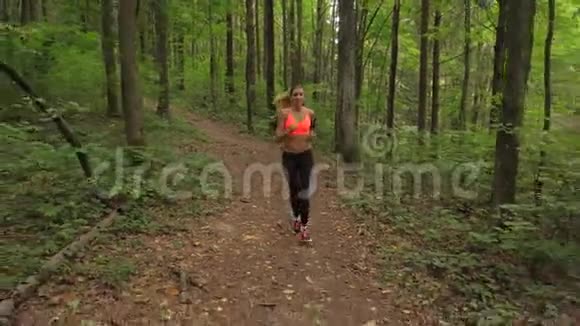 一个运动的女人沿着一条森林小径跑因为我累休息视频的预览图