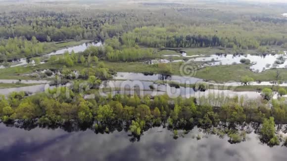鸟瞰森林和河流天空倒映在水中洪水草地空中镜头视频的预览图