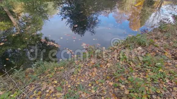 秋天湖畔树木的落叶和倒影潘射视频的预览图