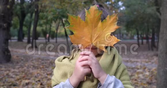 快乐的情感秋天用枫黄的叶子对着大自然微笑的女孩子画像视频的预览图